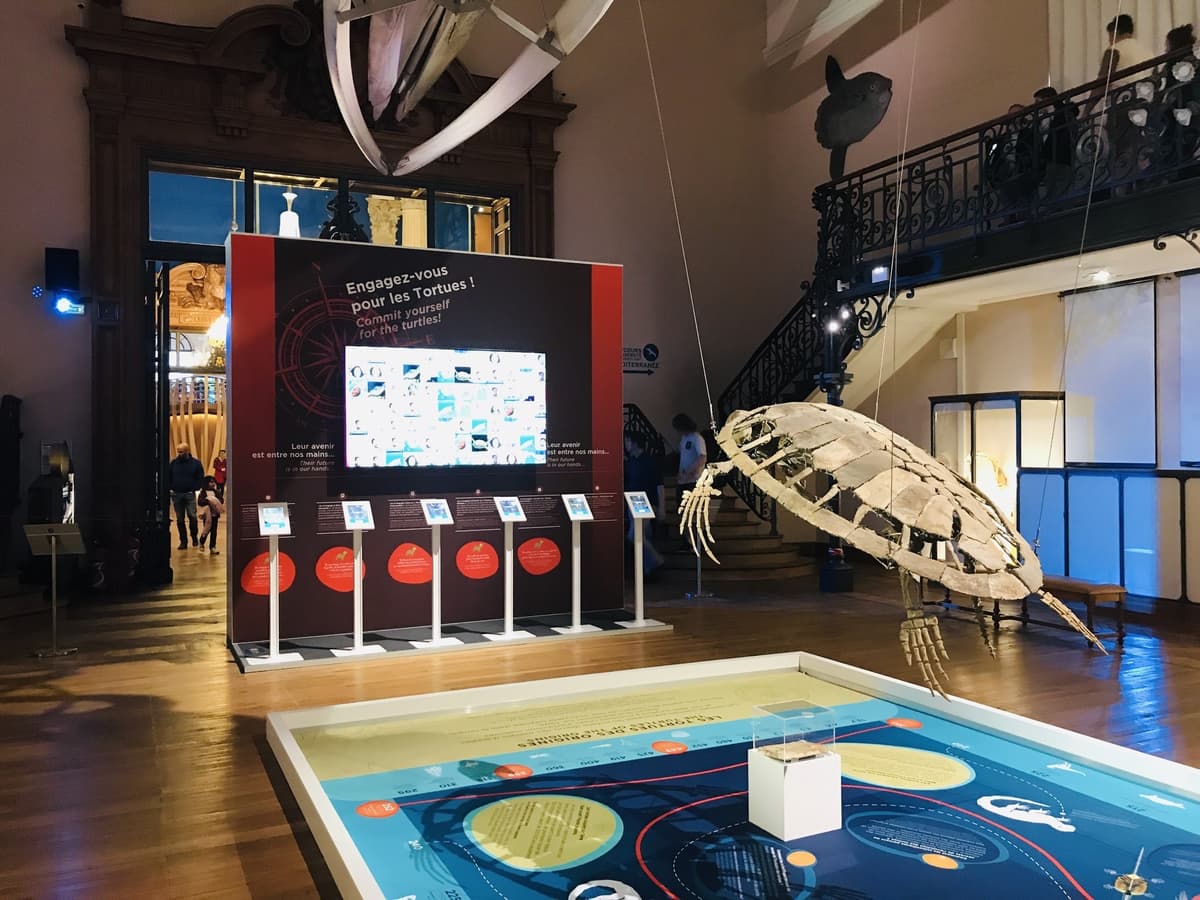 MusĂ©e OcĂ©anographique de Monaco : 9 mois dâanimation digitale